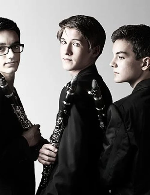 Clarinoir elenco