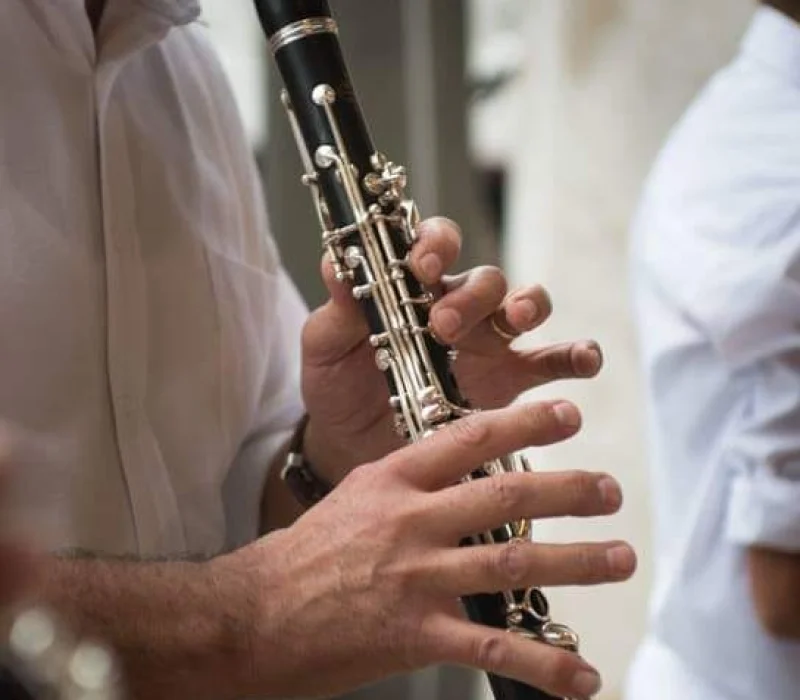 Naonis Clarinet Ensemble and Friends elenco